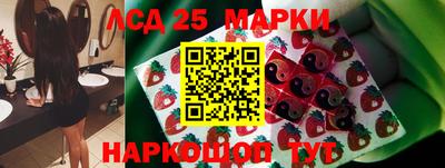 кокс Моздок