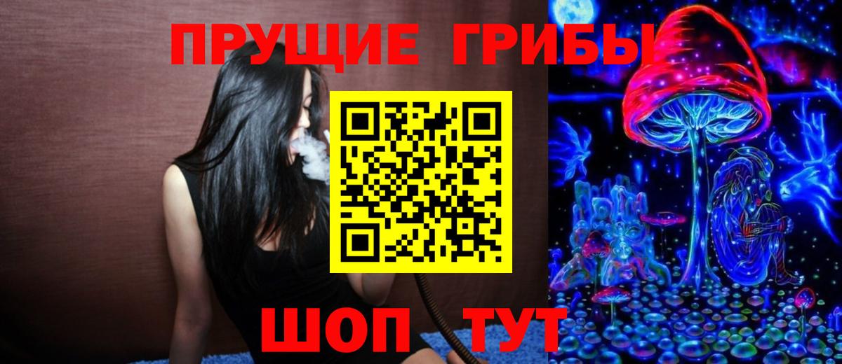 Хасавюрт  Галлюциногенные грибы Psilocybine cubensis  Вход с VPN 